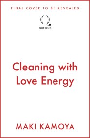 Cleaning with Love Energy
